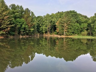 Property photo 65 - LAND AUCTION - 1,050+/- ACRES OFFERED IN 21 TRACTS PLUS 450+/- ACRE HUNTING LEASE IN MUSKINGUM COUNTY, OHIO